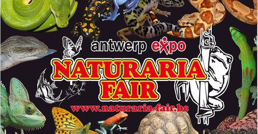NATURARIA_FAIR_POSTER.jpg